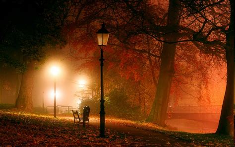Nature Landscape Park Lantern Trees Night Mist