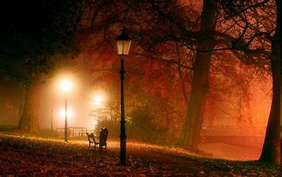 Night Fall Lights Park Leaves Path Lantern