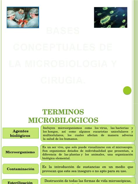 tema 2 bases conceptuales de la microbiología y cirugía pdf las bacterias microorganismo