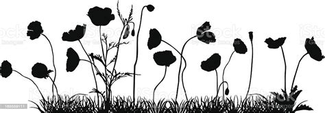 Flower black and white transparent images (1,516). Poppy Field Stock Vector Art & More Images of Beauty In ...