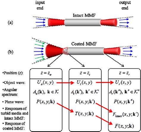 Acceptance angle, exit angle, and their corresponding modes of waves