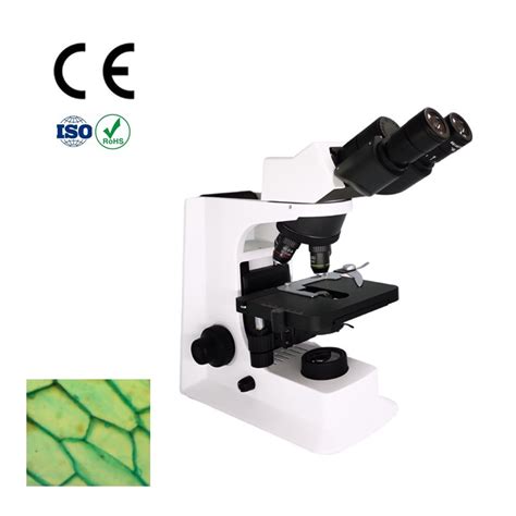 Laboratory Binocular Biological Microscope With X Lwd Infinity Plan Objective China