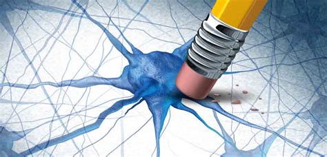 Proteasen — proteasen, proteolytische enzyme, zur hauptklasse der ⇒ hydrolasen gehörende enzyme, die proteine und peptide durch spaltung von peptidbindungen (r nh co r). Alzheimer : espoir de traitement - caspase - Santé sur le Net