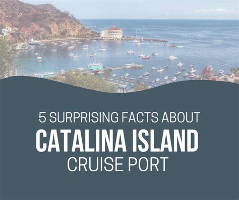 5 Surprising Facts About Catalina Island Cruise Port Cruise Birds