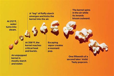 The Popcorn Popping Process Popcorn Naplesfl Kettlecorn