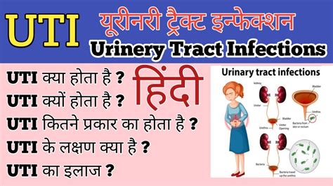Uti Urinary Tract Infections In Hindi Symptoms Types Treatment Laboratory Diagnosis