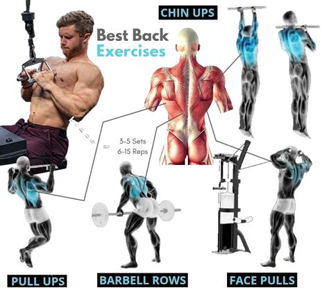 Best Basic Back Exercises Guide