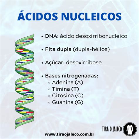 Ácidos Nucleicos Tira O Jaleco