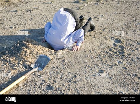 Head In Sand Hi Res Stock Photography And Images Alamy