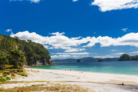 Hahei Beach At Coromandel Peninsula On New Zealand Stock Image Image