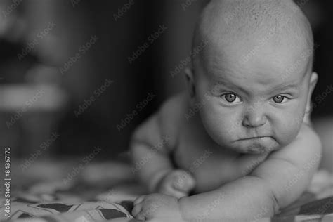 Child Baby Black And White Portrait Stock Photo Adobe Stock