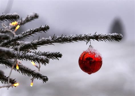Die besinnliche weihnachtszeit kann wunderbar genutzt werden, um den kindern das thema weihnachten sowie dessen bedeutung und hintergründe näher zu bringen. Christmas Quotes 2015: Inspirational, Funny, Religious ...