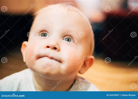 Little Child Baby Boy Close Up Portrait Stock Image Image Of Playful