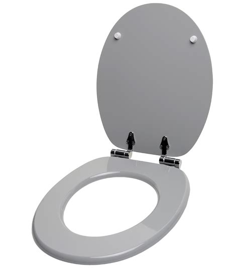 Light Grey Toilet Seat Best Design Idea
