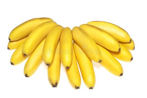 Fresh Bananas Isolated Stock Photo Image Of Banana Vegetarian 7232488