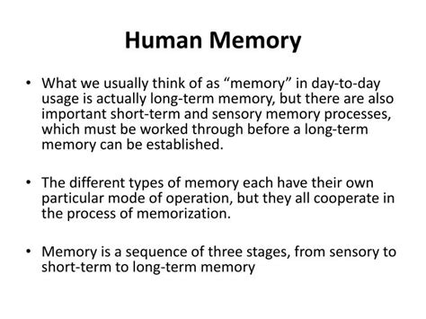 Ppt Human Memory Powerpoint Presentation Free Download Id2643503