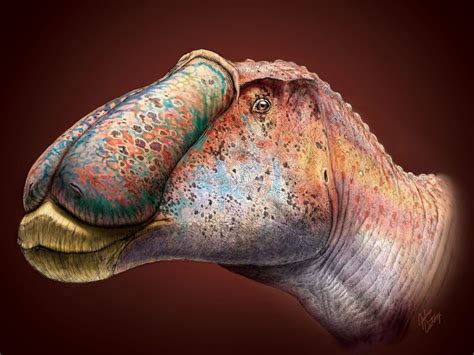 Prosaurolophus Maximus Duck Billed Dinosaur Fossil Discovery Reveals