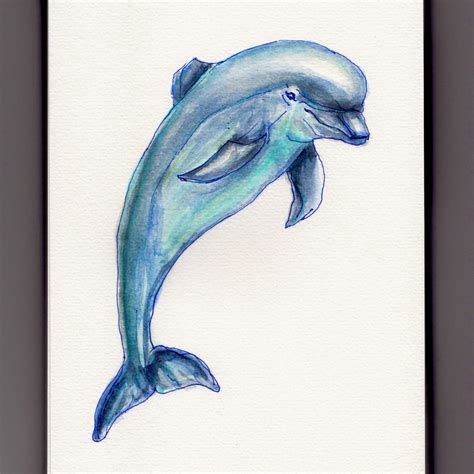 How To Draw A Dolphin In The Water Mara Shull