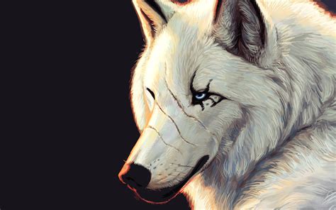 White Wolf With Scars Wallpapers And Images Wallpapers Pictures Photos