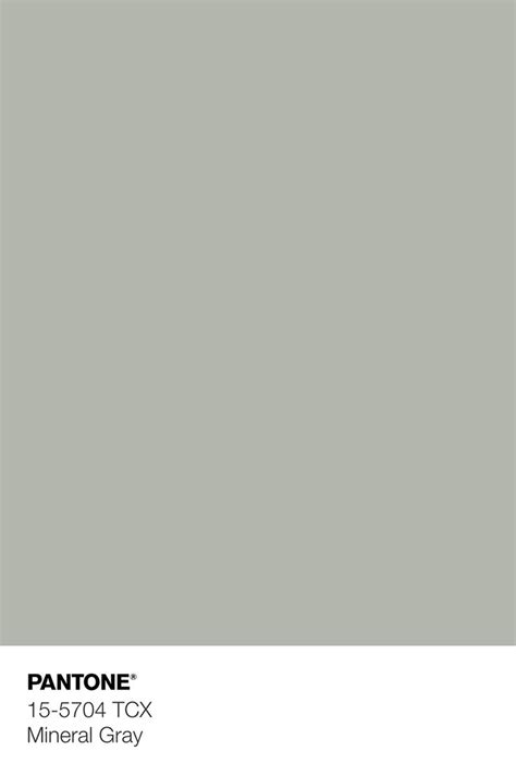 The Pantone Color Is Light Gray