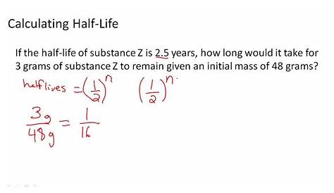 half life math worksheet