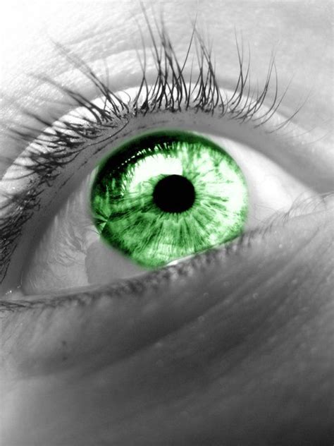 Green Eye By Blueberryblack On Deviantart Gorgeous Eyes Pretty Eyes Cool Eyes Shades Of