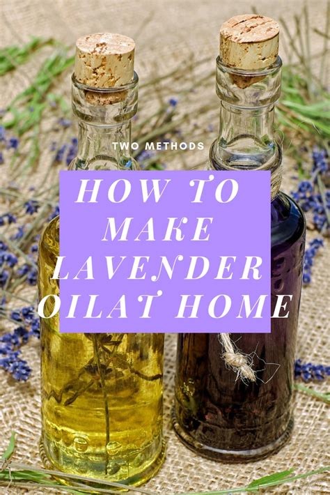 How To Make Lavender Oil Methods The Daily Gardener Lavender