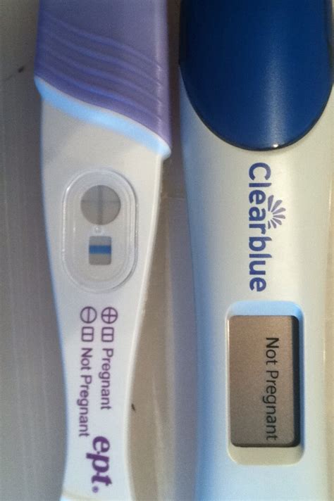 Pregnancy Test False Positive