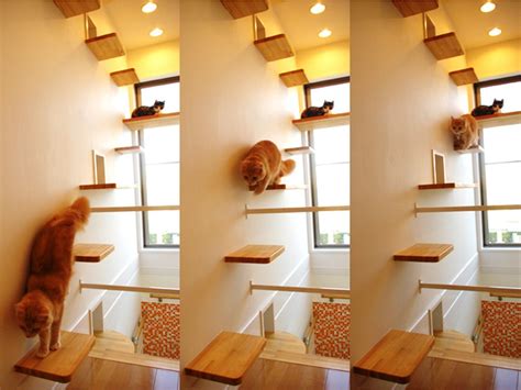 Indoor Cat House Design Ideas Cat Houses Indoor Cat Furniture Cat House