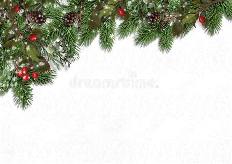 Evergreen Border Clipart 10 Free Cliparts Download Images On
