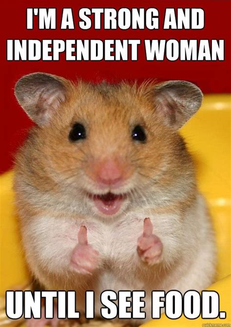 Top 10 Hamster Meme 1080x1080 Pictures Imagesee