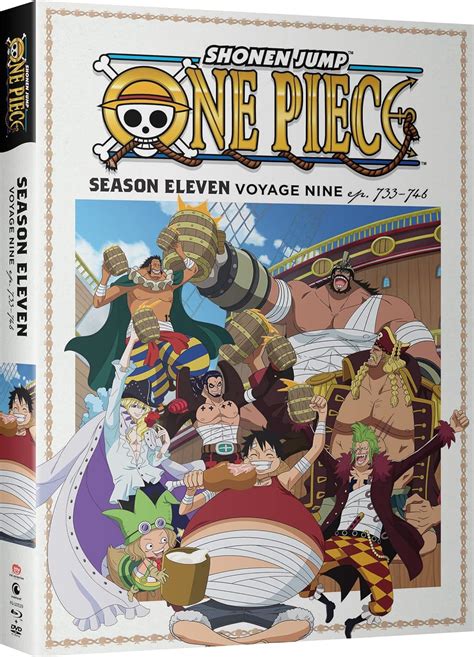 One Piece Season Voyage