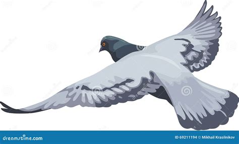 Flying Full Color Pigeon Stock Vector Illustration Of Pigeon 69211194