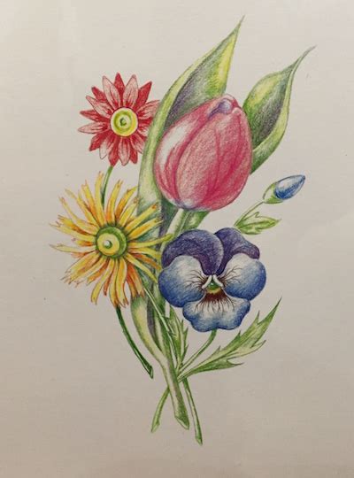 Colored Pencil Flower Drawings At Explore