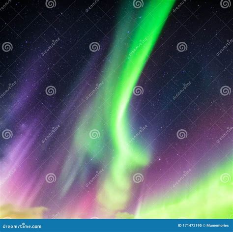 Aurora Borealis Or Northern Lights Green And Purple Colors With Starry