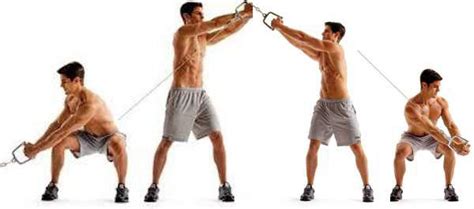 Do You Get A Complete Workout Master Primal Movements For