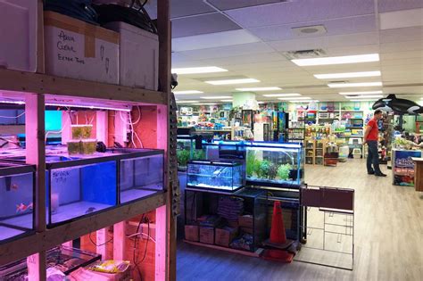 Yesterday i traveled four hours to visit the best pet store pet & aquatic warehouse. Toronto's most famous pet store and aquarium just reopened
