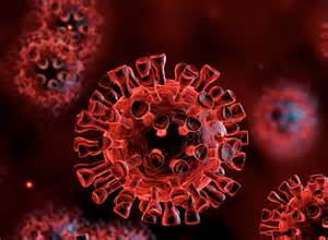 Also known as the coronavirus. SEIU HCIIMK COVID-19 Updates for Members - SEIU Healthcare