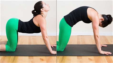 Enhance Posture And Spinal Well Being With Yogas Cat Cow Stretch Or