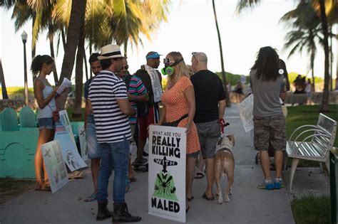 Outcry Erupts Over Miami Beachs Pesticide Spraying To Curb Zika The New York Times