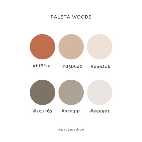 Paleta De Cores Color Palette Terracota E Verde Ideias Instagram
