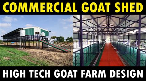 How To Start Commercial Goat Farming Business Goat Shed Design Goat