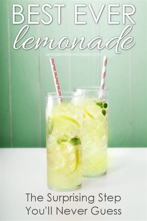Best Ever Homemade Lemonade Seriously The Best Darn Lemonade I Have Ever Had And Its Got A