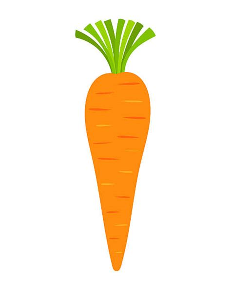Carrots Clip Art 20 Free Cliparts Download Images On