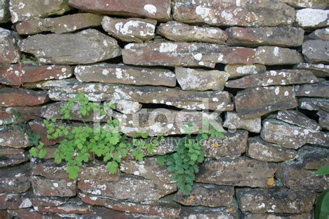 Fieldstone Wall Stock Photo Royalty Free Freeimages