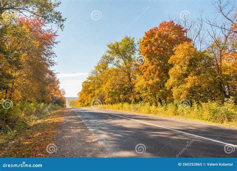 Asphalt Road And Bright Autumn Trees Fairytale Colorful Autumn Forest