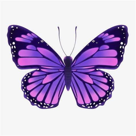 Purple Butterflies White Transparent Purple Butterfly Png Material