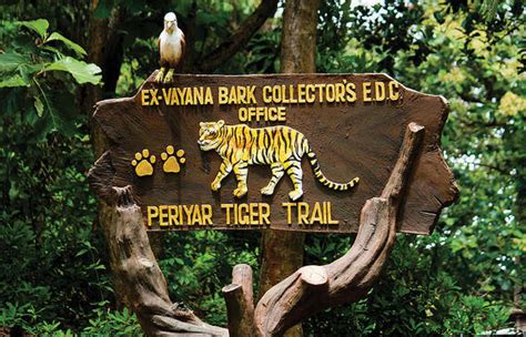 Periyar Tiger Sanctuary — The Indian Panorama