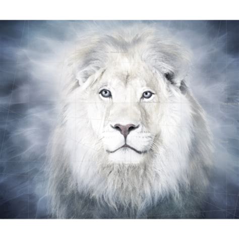 Lions Collection Prophetic Art Gallery