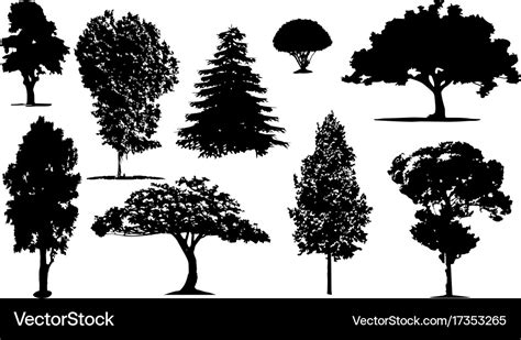 Silhouettes Of Trees Royalty Free Vector Image